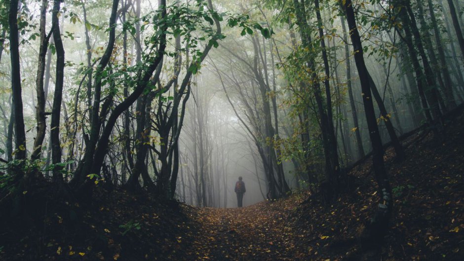 Full Moon in Sravana