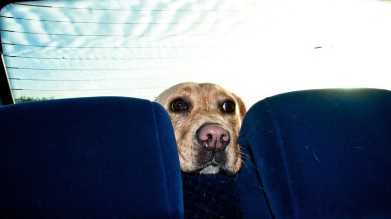 Untitled design(3) Image description