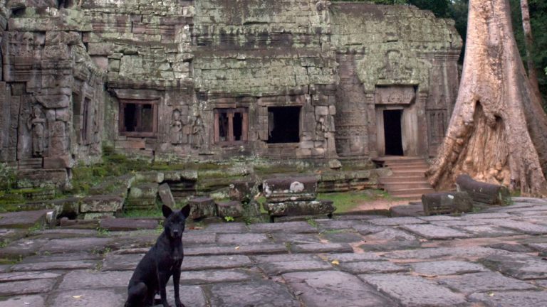 Ardra Image description