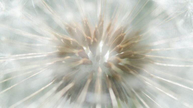 Untitled design(3) Image description