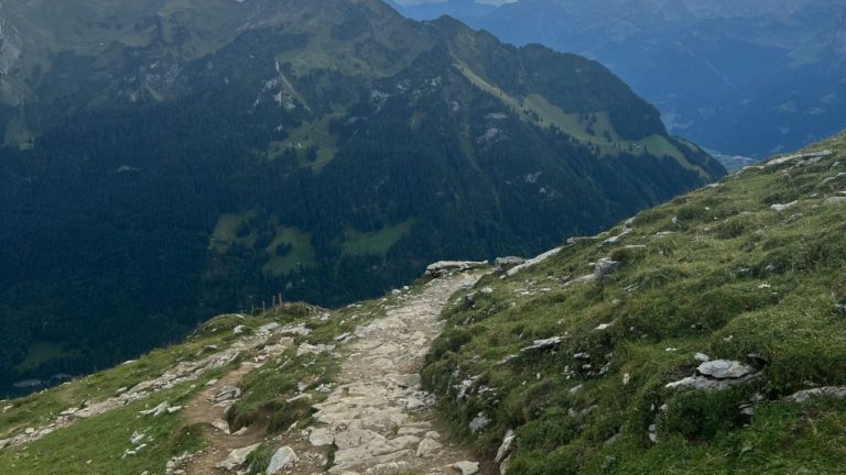 Punarvasu Image description