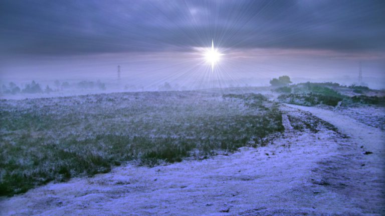 Purva Phalguni Image description