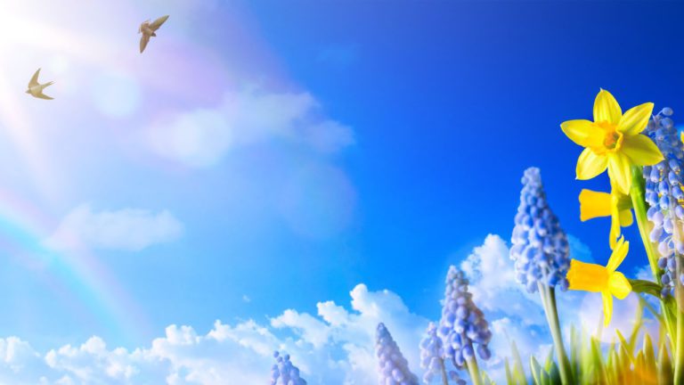 May 2025 Horoscopes Image description