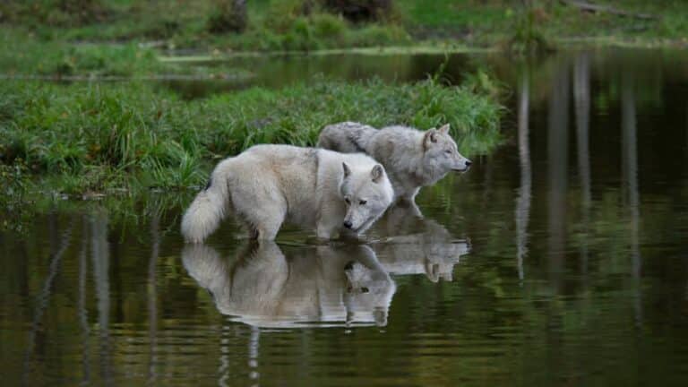 Untitled design(37) Image description