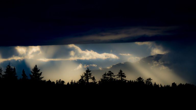 Uttara Ashadha Image description