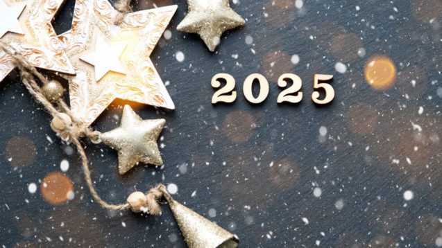 2025 Year Ahead Consultation