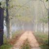 To Terms - Moon in Revati December 2nd, 2022 Revati