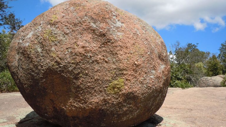 Hasta Image description