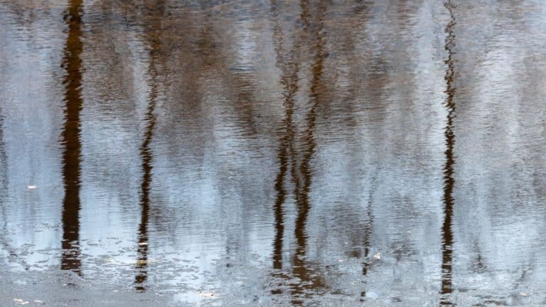 Untitled design(46) Image description