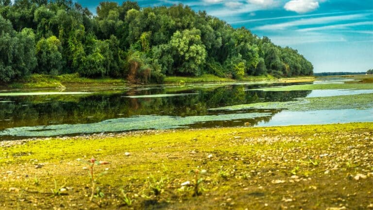 Untitled design(48) Image description