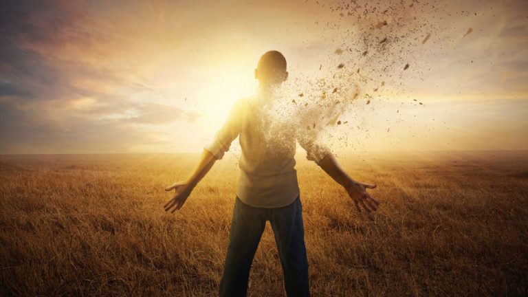 Mula Image description