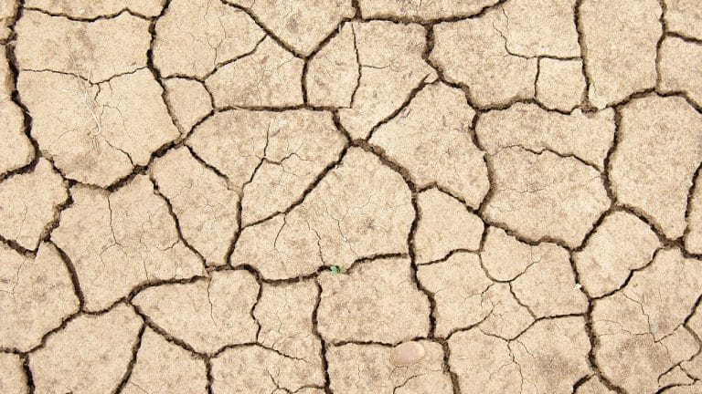 Untitled design(5) Image description