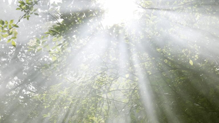 Untitled design(5) Image description