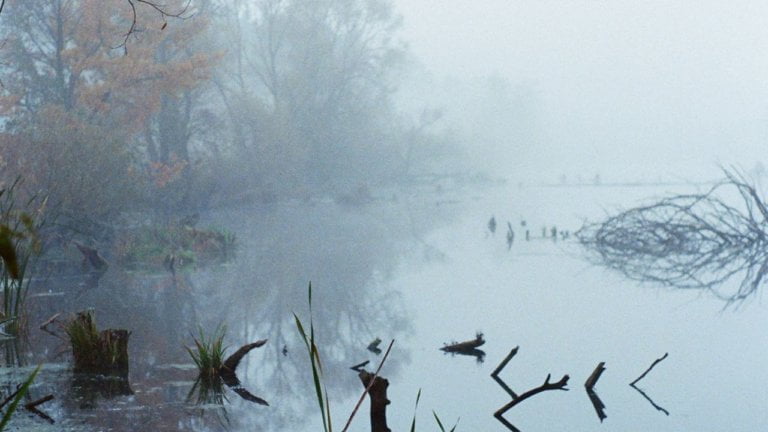 New Moon Solar Eclipse in Chitra