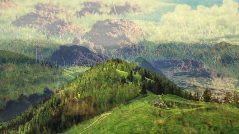 Uttara Ashadha Image description