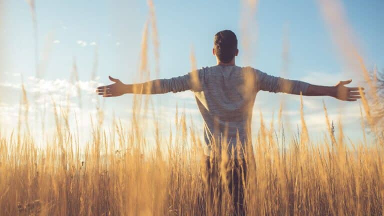 Untitled design(51) Image description