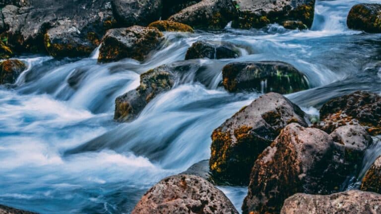 Untitled design(52) Image description