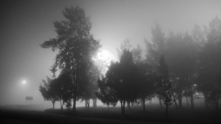 Anuradha Image description