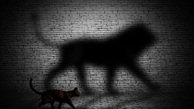 Dhanishtha Image description