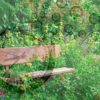 When the Moment Is Right - Moon in Revati May 23rd, 2025 Revati