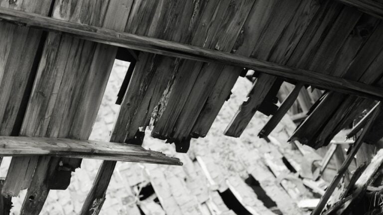 Untitled design(6) Image description