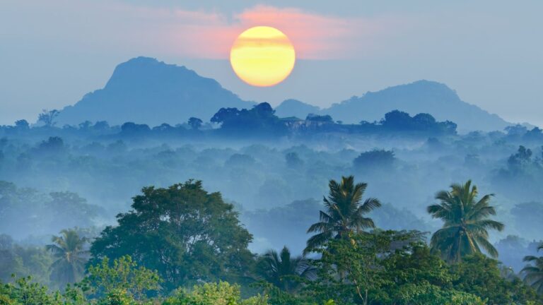 Untitled design(6) Image description