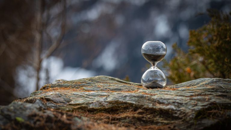 Pushya Image description