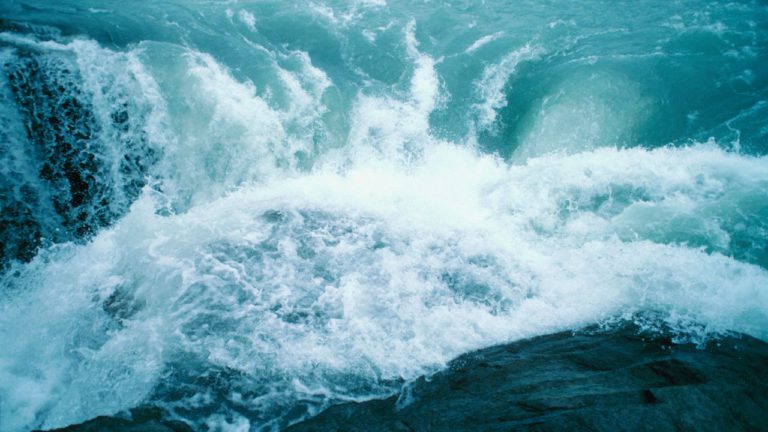 Hasta Image description