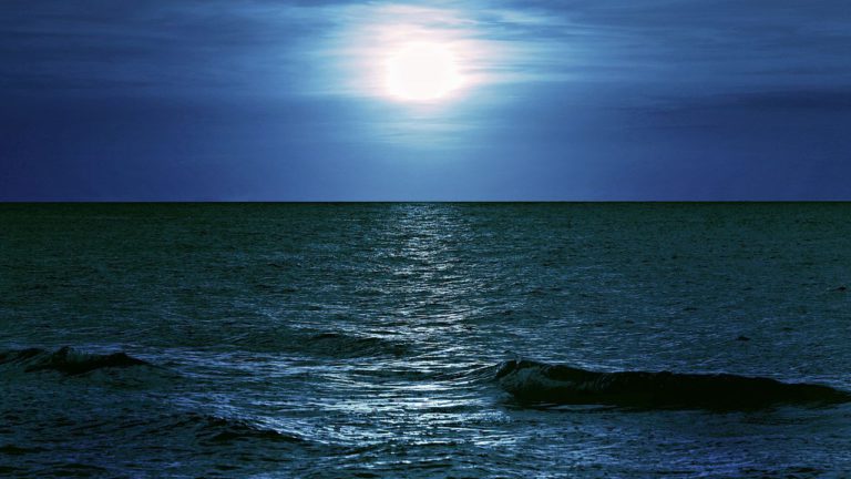 Purva Bhadrapada Image description