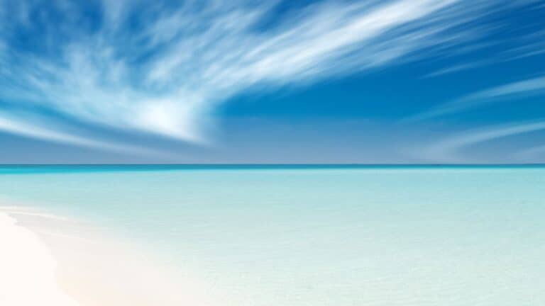 Untitled design(65) Image description