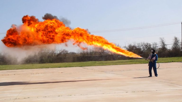 Ardra Image description