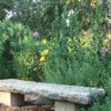 Have Faith - Moon in Revati June 19th, 2025 Revati