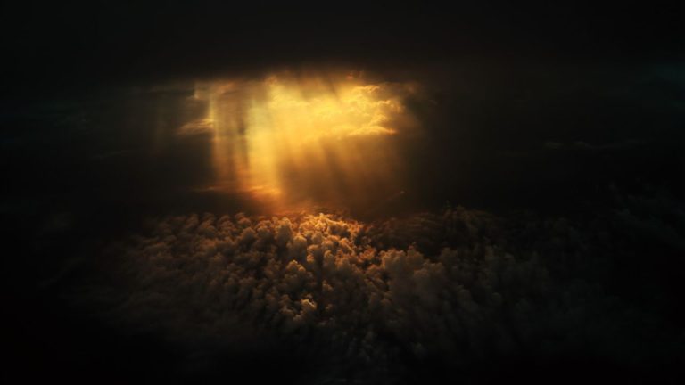 Mula Image description