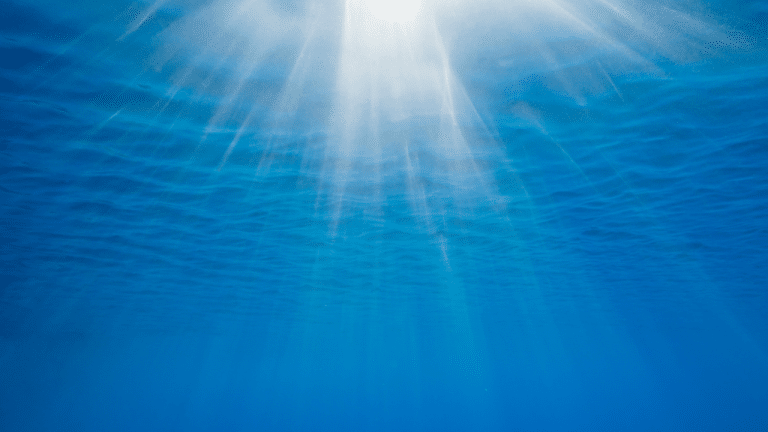 Untitled design(8) Image description