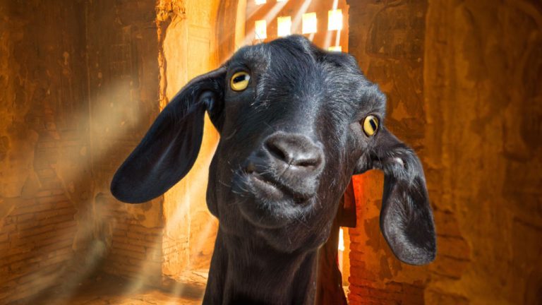 New Moon in Ardra Image description