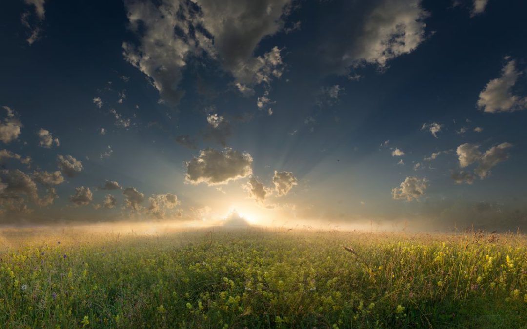 Fear Not – Moon in Hasta July 2nd, 2025