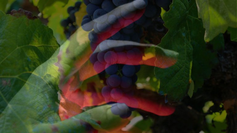 Untitled design(9) Image description