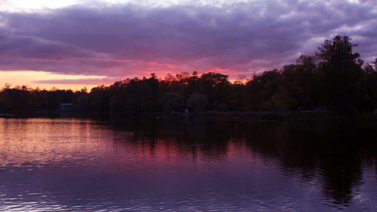 Untitled design(9) Image description