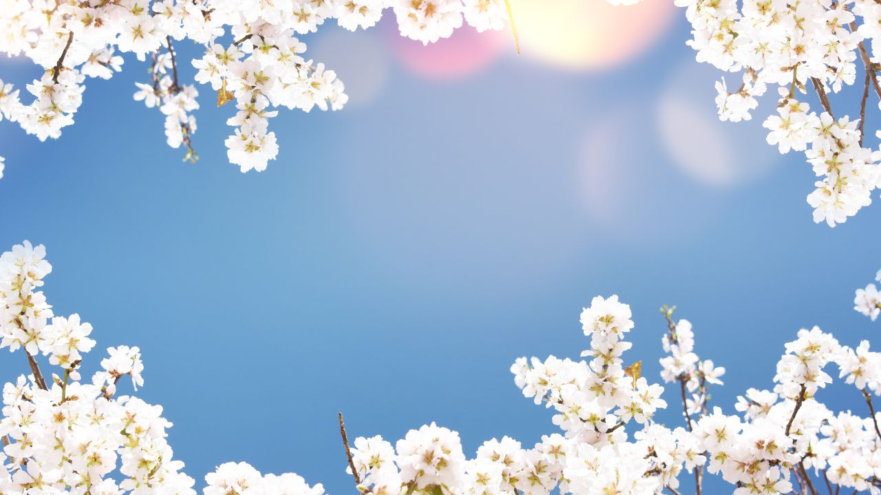 Venus Retrograde 2025 - The Path to Pleasure Venus Retrograde 2025