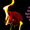 Venus Stations Retrograde