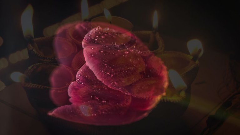 Venus in Anuradha(1) Image description