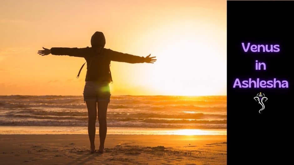 Venus in Ashlesha