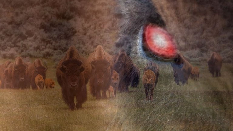 Venus in Hasta Ketu in Chitra