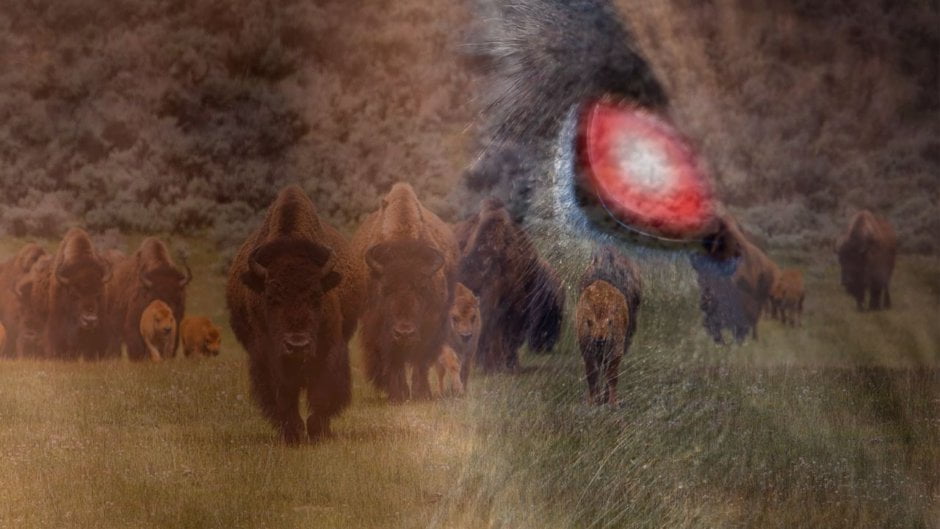 Venus in Hasta Ketu in Chitra