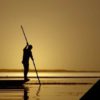 Wandering? - Venus in Mrigasira 5th-16th July, 2022 Wandering? - Venus in Mrigasira 5th-16th July, 2022