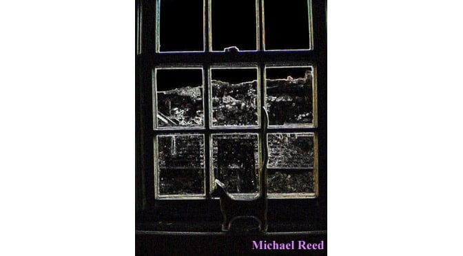 Animal Instinct by Michael Reed