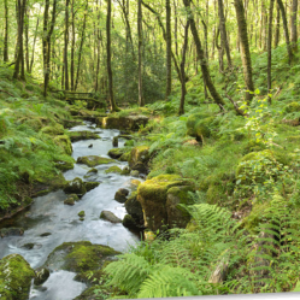 Profile photo of mary-lou-mccrohon