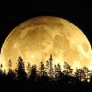 Profile photo of erika-gottschalk