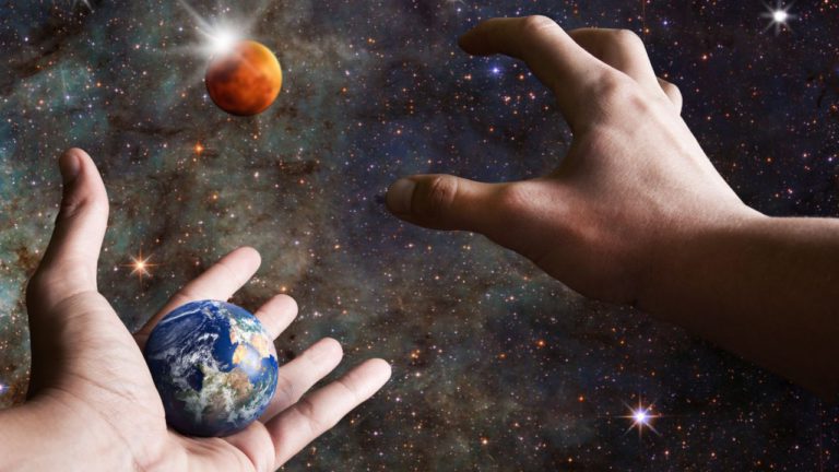 Mula Image description