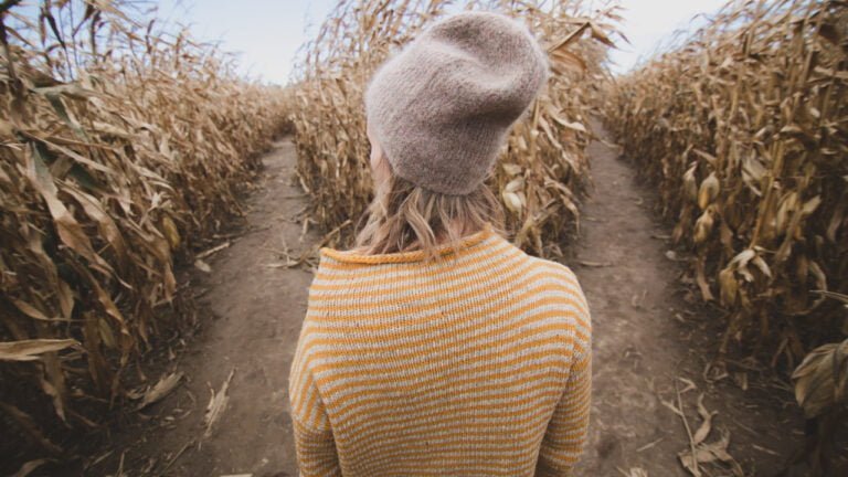 burst-aoN3HWLbhdI-unsplash Image description